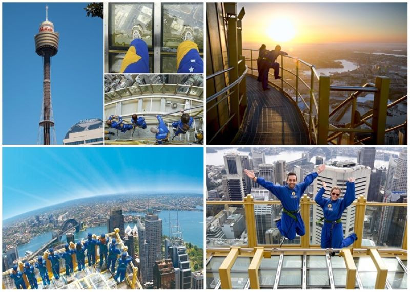 Ngắm nhìn toàn cảnh Sydney tại Sydney Tower Eye